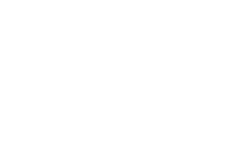 CXO Catalyst Wordmark CXO Catalyst Wordmark